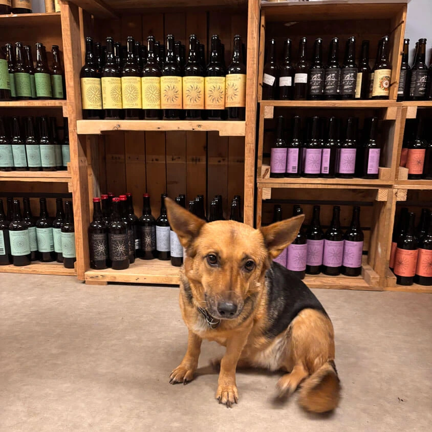 Chien boutique - Brasserie Artisanale du Contrevent